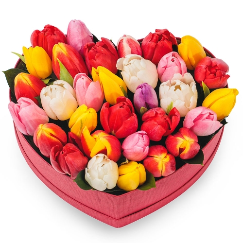 Colourful tulips in a heart